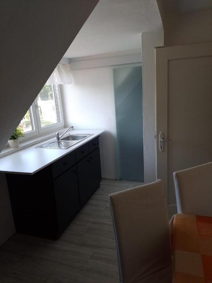 Apartment Biesnitz Герліц Екстер'єр фото